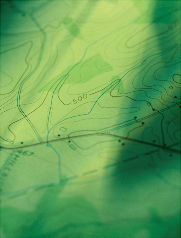 Green Topo Graphic